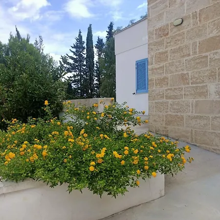 Domus Barone Holiday home *