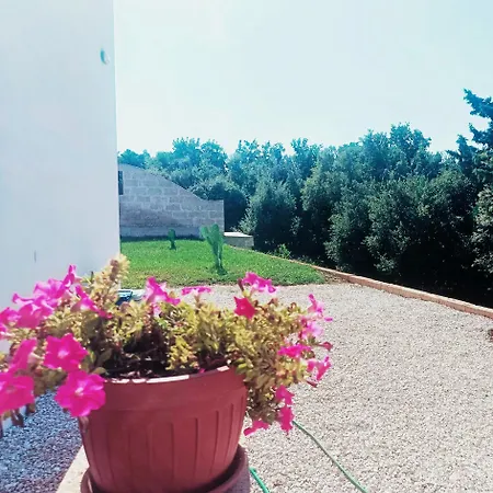 Holiday home Domus Barone Spongano